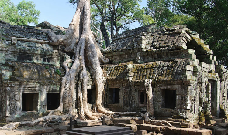 Ta Prohm_Siem Reap