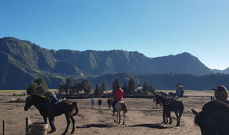 TG_Indonesia_Mount-Bromo-horse-riding_(c)Don-Gaoiran